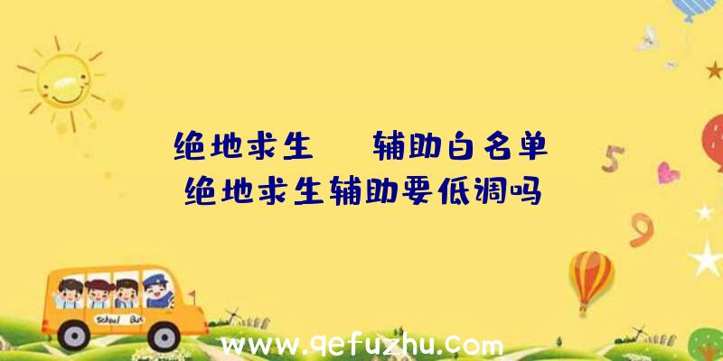 「绝地求生skt辅助白名单」|绝地求生辅助要低调吗